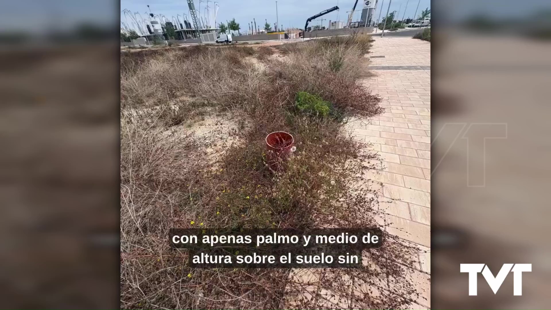 Imagen de El PSOE advierte sobre conductos abiertos y sin protección en la fase recepcionada de la Hoya